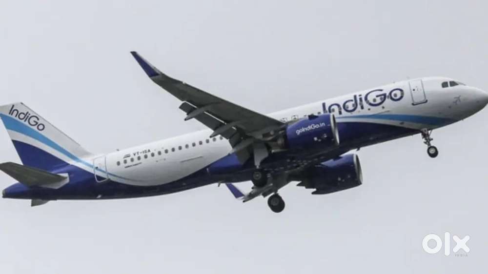 Full time jobs in IN INDIGO AIRLINES PICK an DROPPING SERVICE for