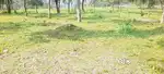 50-Cent Scenic Land for Sale in Kathaloor, Marayoor – Ideal for Resort
