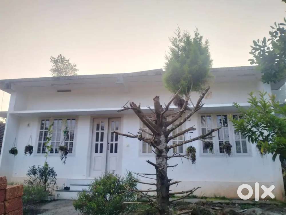 House plot for Lease at Kolagappara