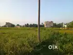 Best Plot near Dura for Home Construction or Investment
