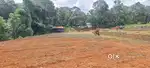 പാല,KSEB, കിണർ സൗകര്യമുള്ള പ്ലോട്ടുകൾ