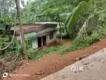12 cent house plot