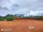 2 Acres land in inoli near Konaje university mangaluru karnataka