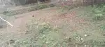 Land for sale 2.5.kotha