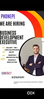 Hiring Business Development Executive in PhonePe