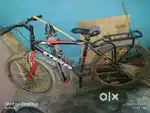 Gang ka cycle hai