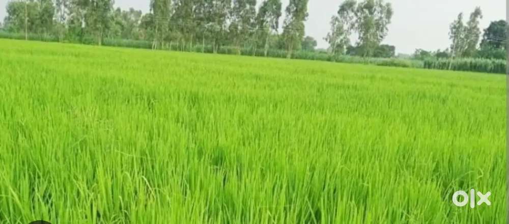 4 एकड़ खेत बेचना है