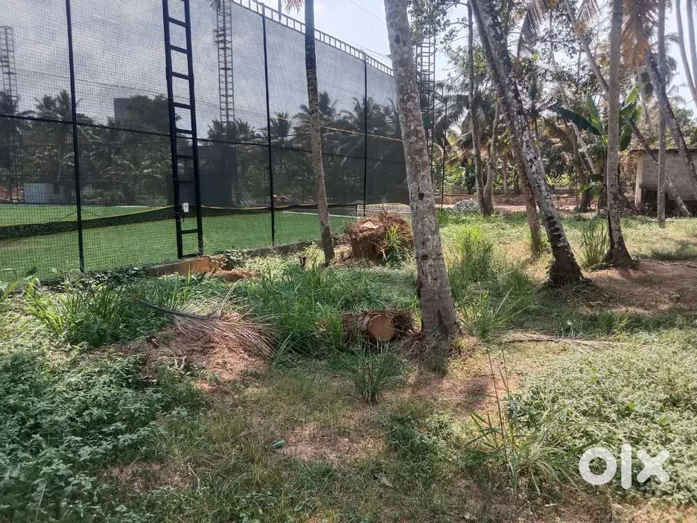 11.55 CENTS LAND FOR SALE AT KAZHAKKOOTTAM