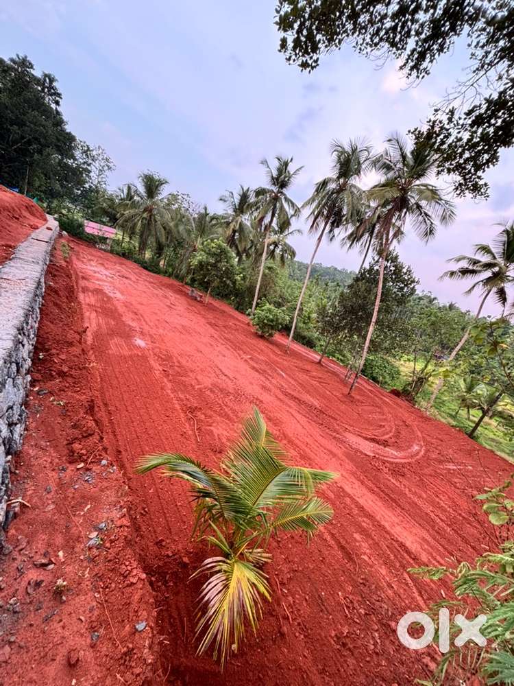 ഹൌസ് പ്ലോട്ടുകൾ കോങ്ങാട് പത്തിരിപ്പാല റോഡിൽ നിന്നും 700 മീറ്റർ ഉള്ളിൽ