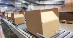 Company job