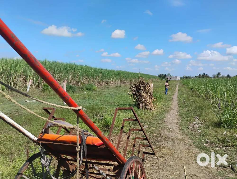 प्लॉट विकणे आहे