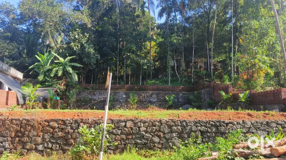 A 10 Cent land square shaped