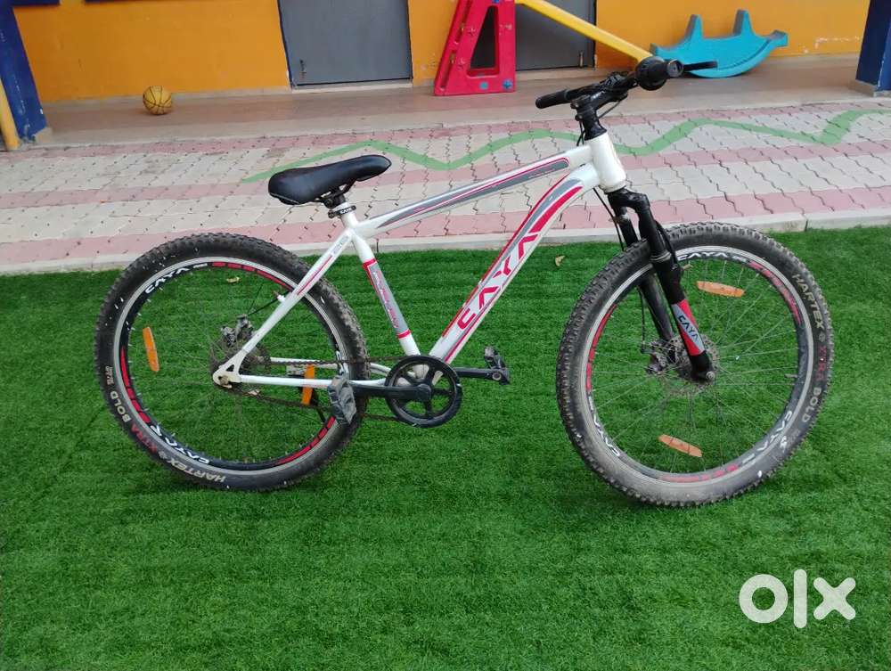 CAYA bicycle