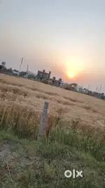 Basant avn ex 11 plot sale