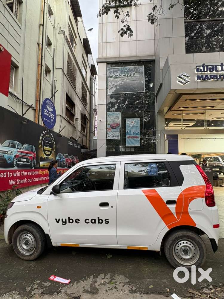 Investor/investment person