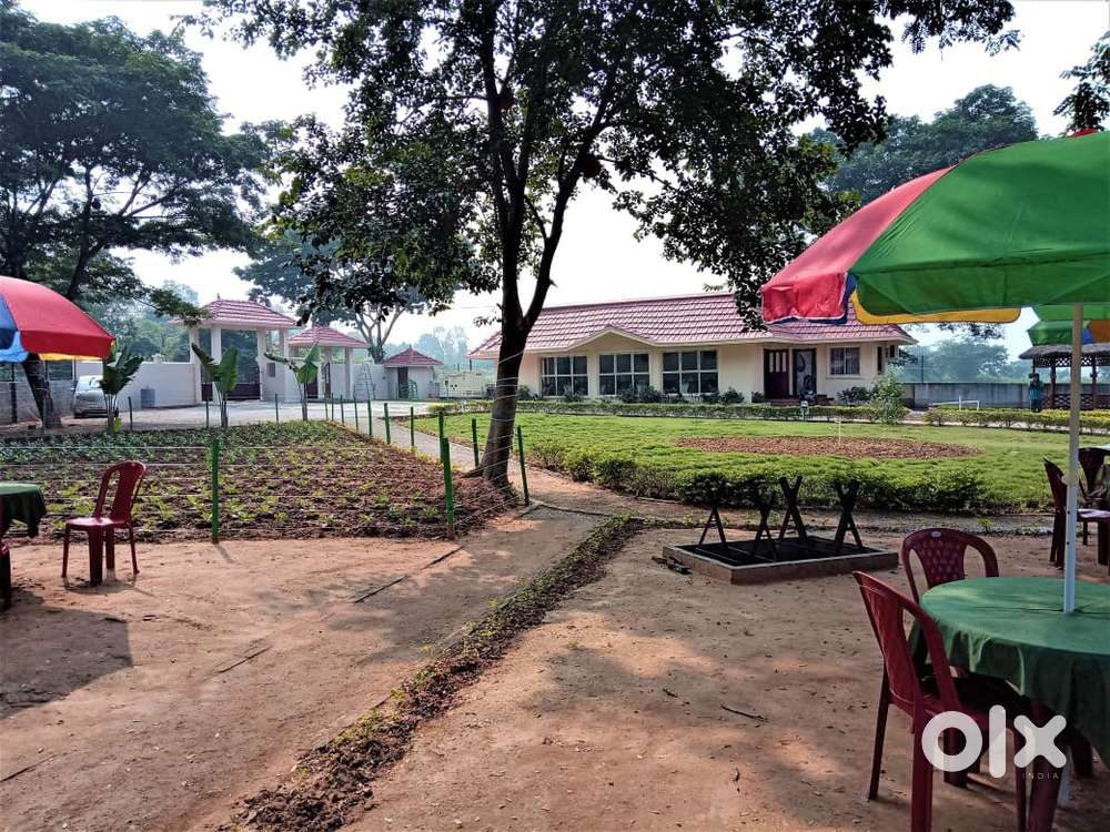 Typist job ( work from home)