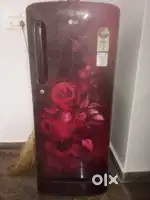 Lg refrigerator