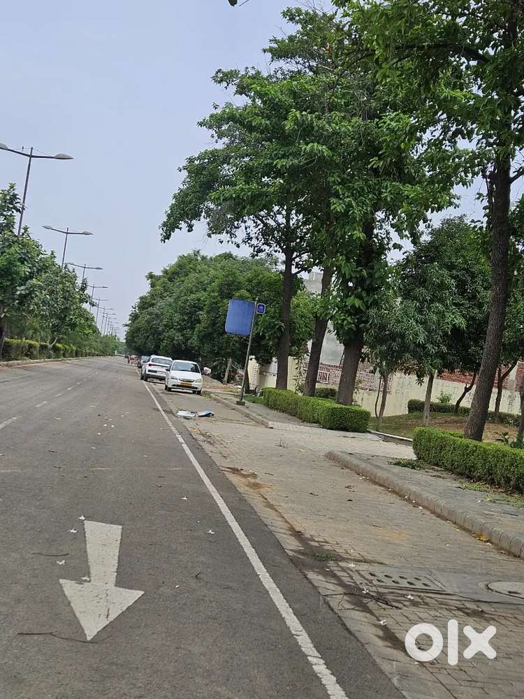 500 Sqyards Plot For Sale in Manohar Singh & Company New Chandigarh