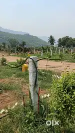 250 sqy plot sale, monthly 10k, yearly 4 lks