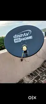 Good condition dish
