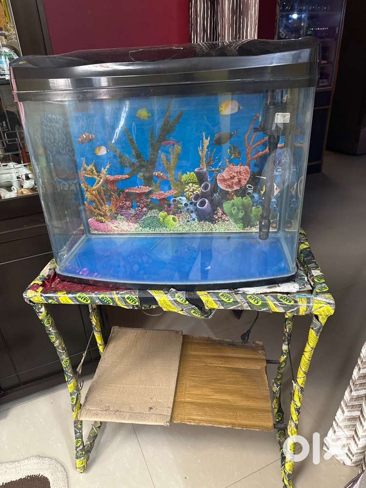 70 ltr capbcity fibre Acquarium