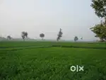 Plot or khet sale k liye ho to msz kare
