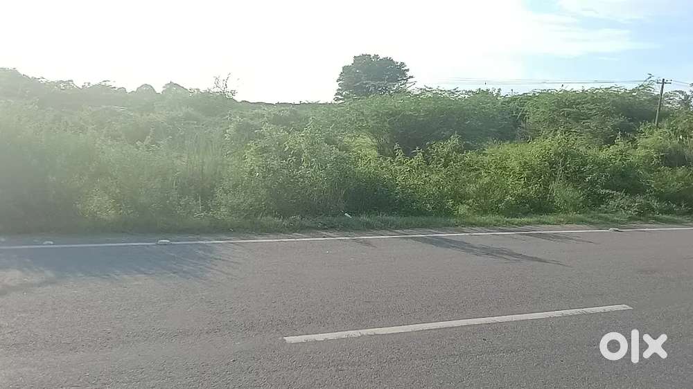 Land on Uthiramerur to Kanchipuram Highways
