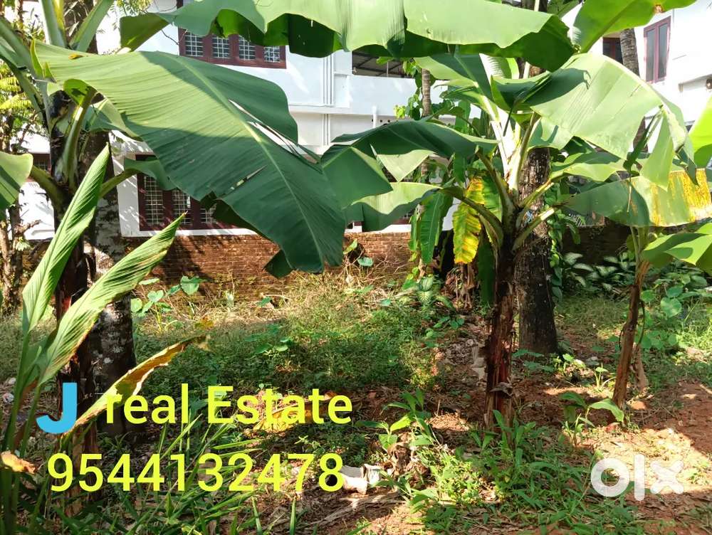 4cent super plot thrippunithura puthiyakave aghastya nagar jn near
