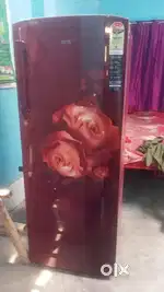 : 1 Saal Purana IFB Single Door Fridge Floral Design - Achhi Condition