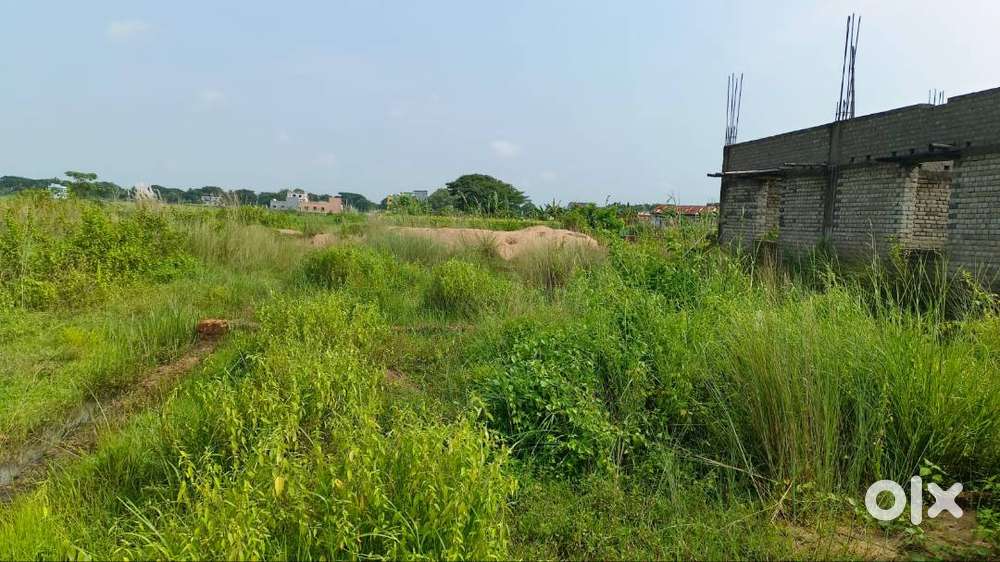Gharabari plot for sale at Nacchipur Cuttack