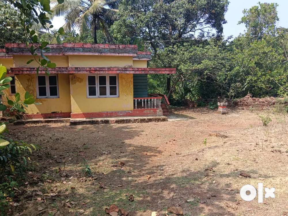 20 cents with 2 houses, near Francis Xavier church bajpe Mangalore