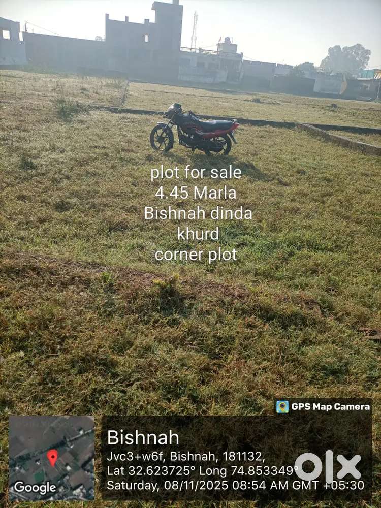 Malki plot new colony