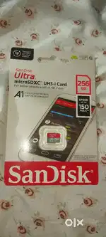 256 gb SanDisk memory card