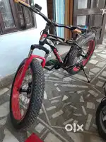 Fat bike cycle