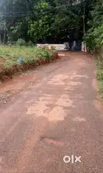 Road Side 10 cent പത്തിരിപ്പാല തീപ്പെട്ടി കമ്പനിക്ക് സമീപം