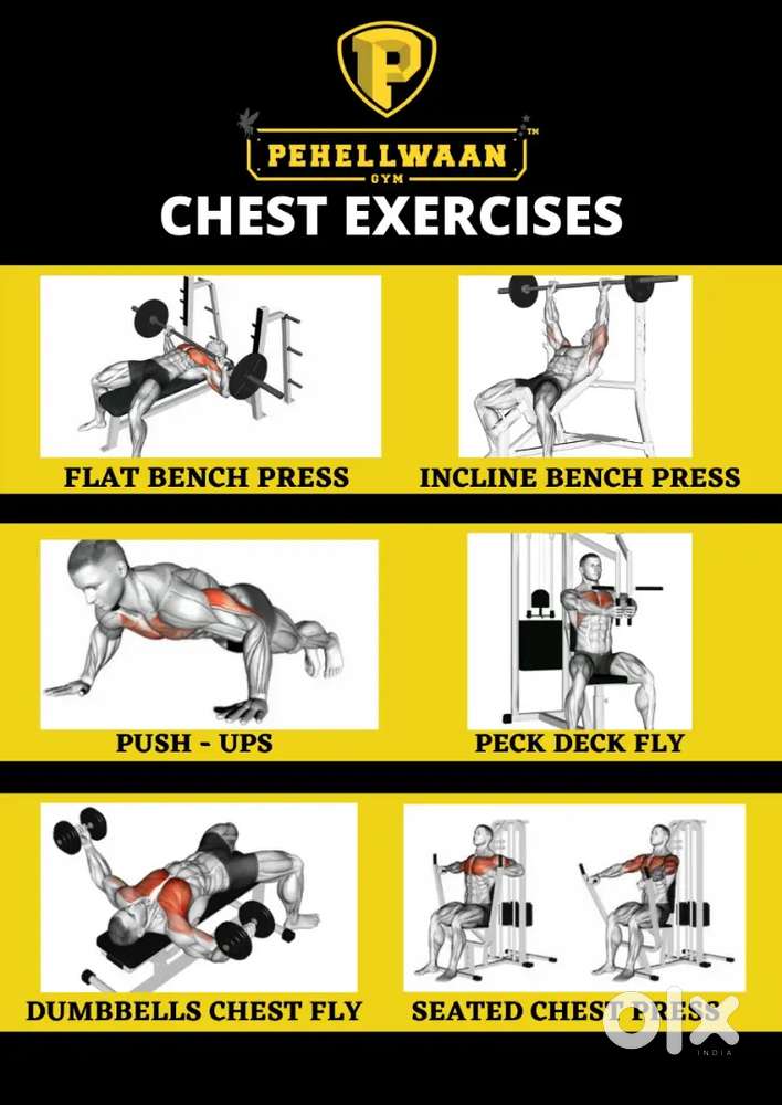 PERSONAL FITNESS TRAINER