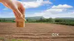 Top location 107 gaj plot
