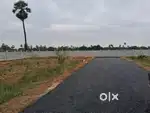 7,000 per square yard, D T C P lay out