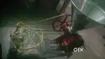 Rice grinder