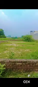 288 Gaj ਪਲਾਟ dhilon calony kotkapura