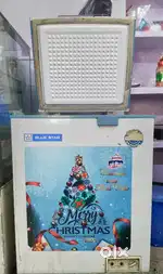 Deep freezer Blue Star