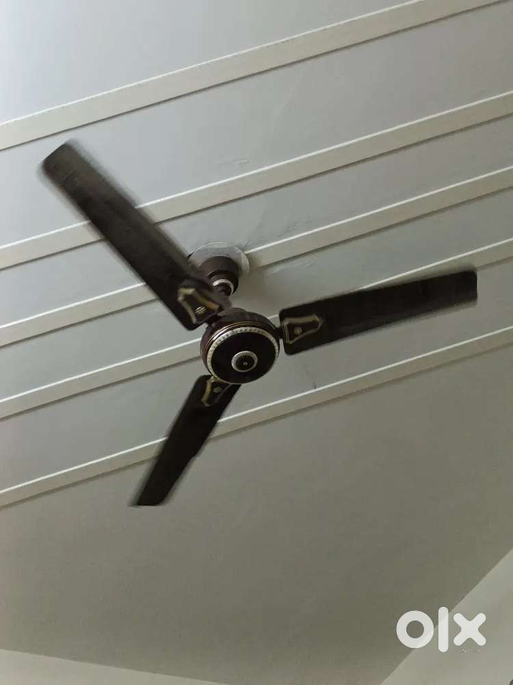 Sealing Fan