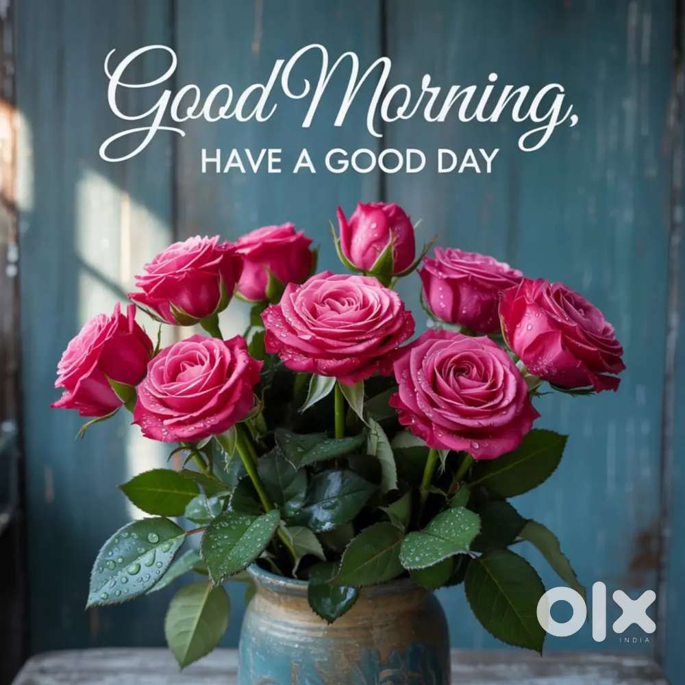 Plot in front of surya hotel Anuppur