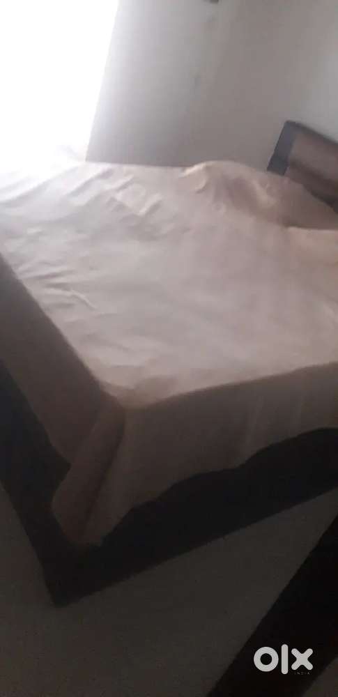 Sleepwell Matress (Queen Size)