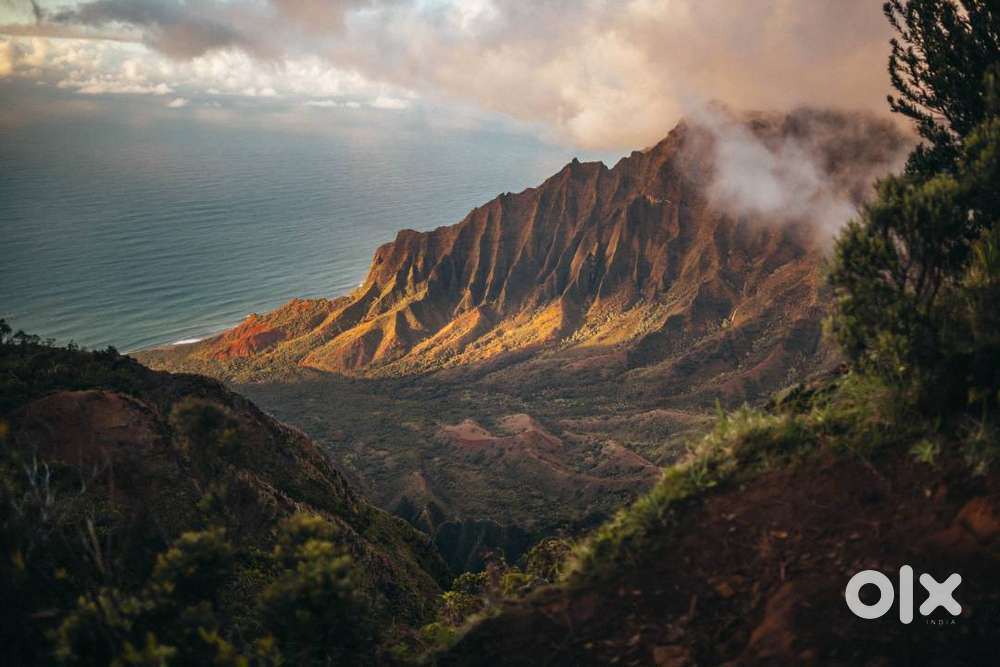 CAR/TEMPO DRIVER REQD