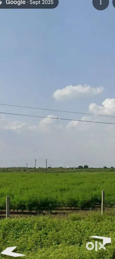 Land for sale in vadali ( Rajkot ).