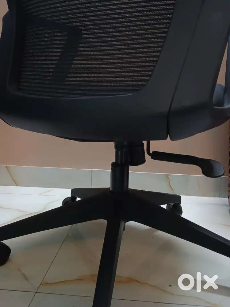 Office chair mesh back