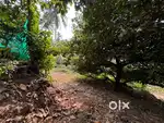 Plot for sale