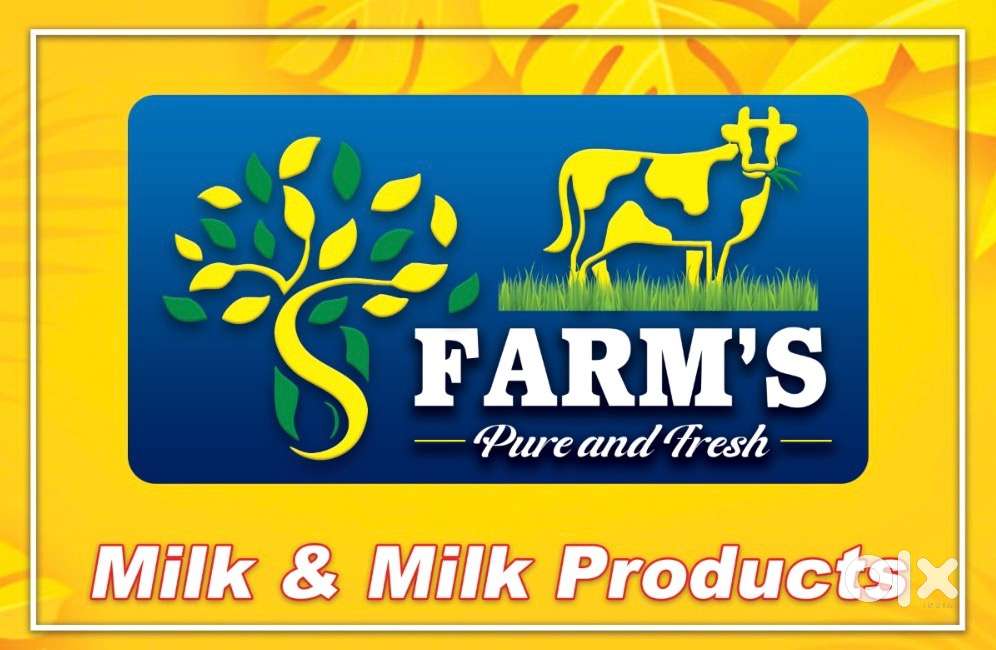 Milk food grocery’s delivery