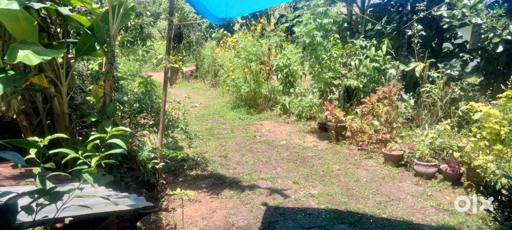 8 5 cent plot with house